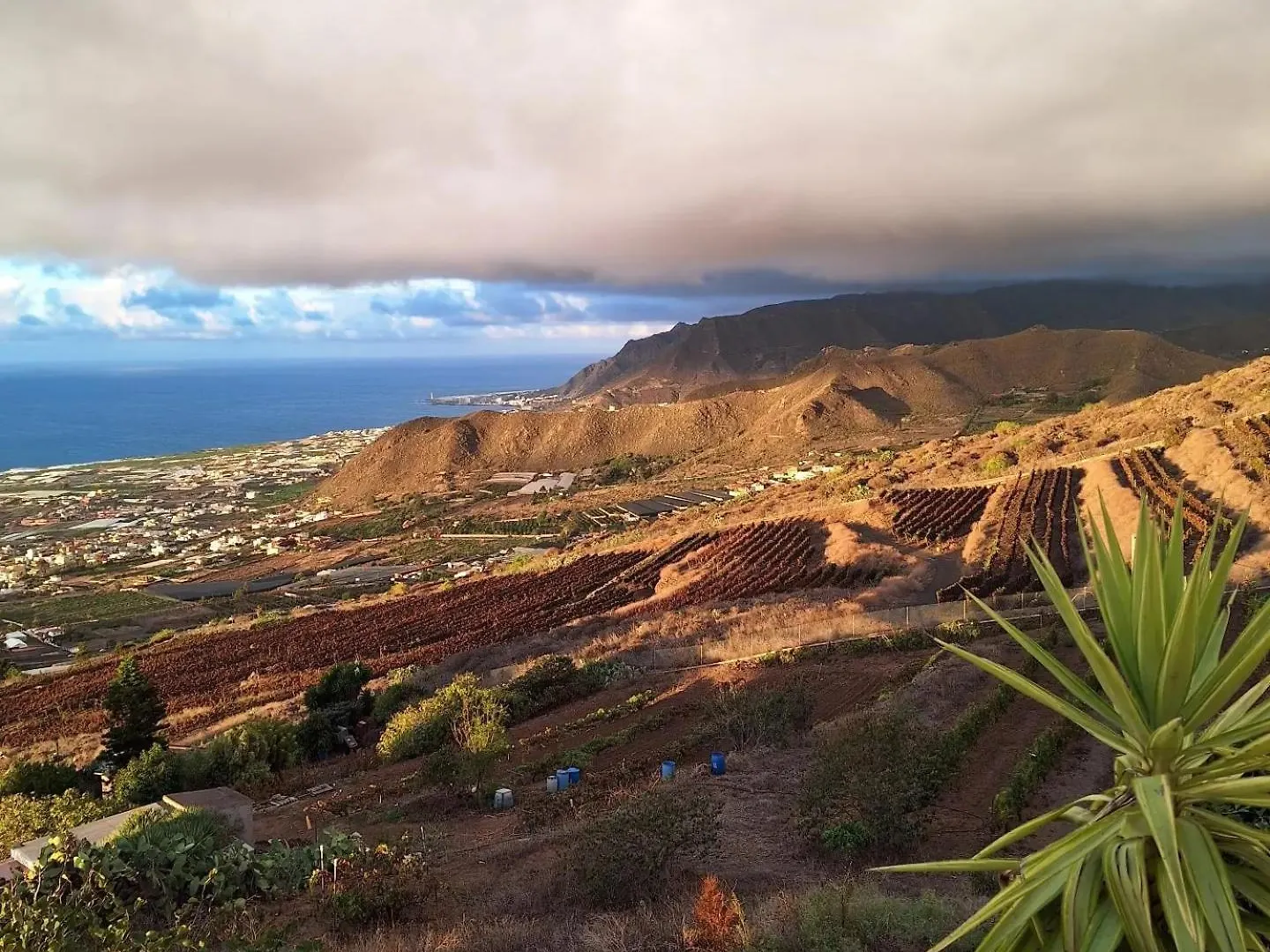Rural Escape W/Stunning Views, Jacuzzi And Sauna La Laguna  0*, La Laguna (Tenerife)